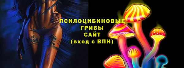 а пвп мука Белокуриха