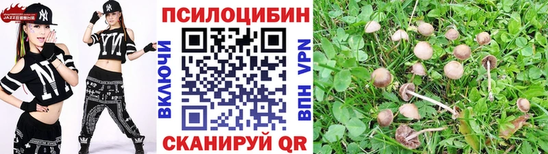 Галлюциногенные грибы Magic Shrooms  Купить  Опочка 