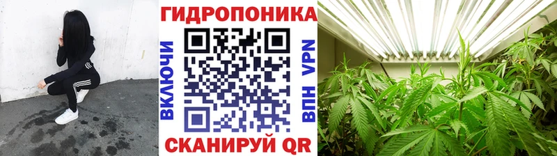 Конопля MAZAR  Купить закладки  Опочка 